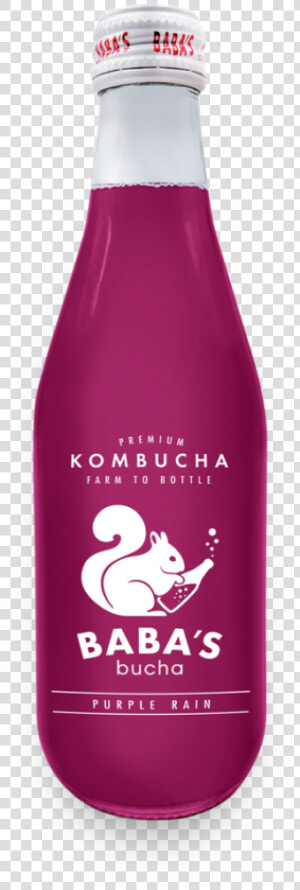 Kombucha  HD Png Download