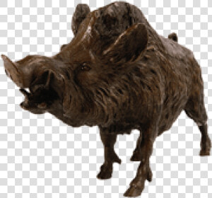 Transparent Boar Png   Bison  Png Download