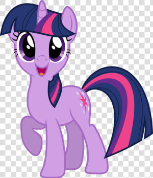 Twilight Sparkle My Little Pony Ponies  HD Png Download