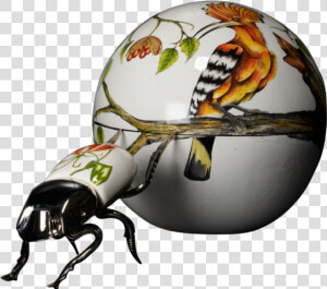 Dung Beetle Ceramics  HD Png Download