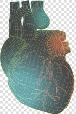 Human Heart With Colorful Wireframe Illustration   Pottery  HD Png Download