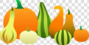 Fall Food Clipart   Pumpkins And Gourds Clip Art  HD Png Download