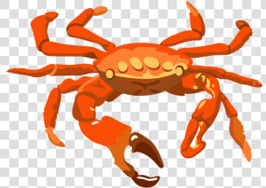 Crab Pictures Clip Art Best For Food   Transparent Background Crab Transparent  HD Png Download