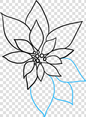 How To Draw Poinsettia   Line Art  HD Png Download