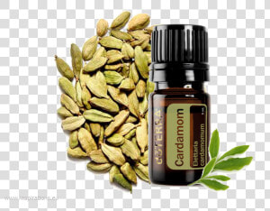 Doterra Cardamom Kardamom   Cardamom Doterra  HD Png Download