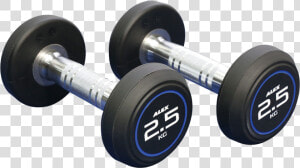 Gym Dumbbells Png  Transparent Png