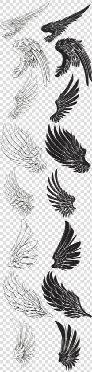 Eagle Feather Drawing Wings Brush Free Transparent   Eagle Wings Drawing  HD Png Download