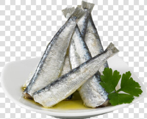 Sardines  HD Png Download