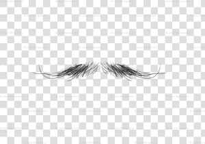 Eyelash Extensions  HD Png Download