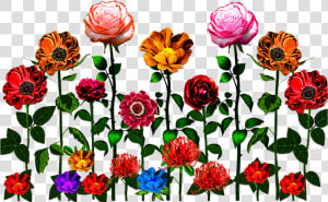 Vector flower vector Art flower Vector vector Flower   Garden Roses  HD Png Download