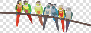 Parakeet Png  Transparent Png