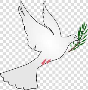 File   Peace Dove   Svg   Peace Dove Png  Transparent Png