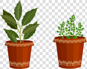 Herb Garden Clipart Cliparthut Free Clipart   Clip Art  HD Png Download