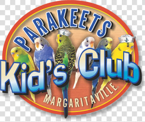 Parakeets Kid’s Club Logo   Jimmy Buffett Parakeets  HD Png Download