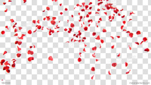 Falling Petals Png Free Download   Falling Rose Petals Png  Transparent Png