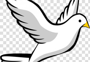 Holy Spirit Dove Png Clipart   Png Download   Bird Drawing  Transparent Png