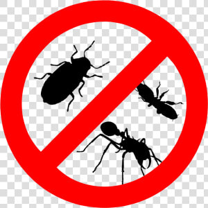 Pests Control  HD Png Download