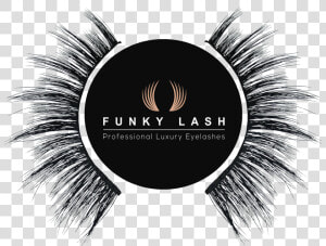 Eye Lashes Png  Transparent Png