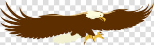 Eagle wildlife bald Eagle   Soaring Eagle Clip Art  HD Png Download