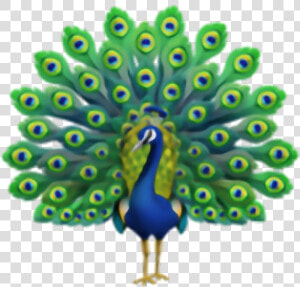  iphone  emoji  emojis  iphoneemoji  emojisticker   Apple Peacock Emoji  HD Png Download