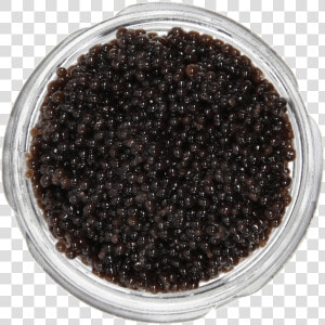 Jar Of Caviar  HD Png Download