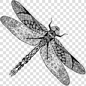 Tattoo Dragonfly Photography Insect Drawing Stock Clipart   Dragonfly Drawing  HD Png Download