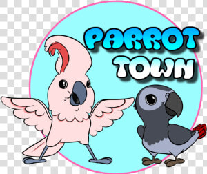 Parrots Clip Art   Cockatoo  HD Png Download