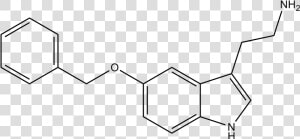 Tattoo Molecule Serotonin Chemical Chemistry Structure   Chemical Structure Serotonin Art  HD Png Download