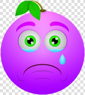 Smiley  Berry  Sad  Crying  Icon   Purple Sad Emoji  HD Png Download