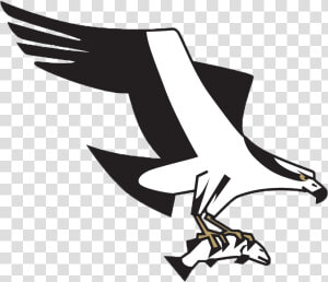 Missoula Osprey Logo  HD Png Download