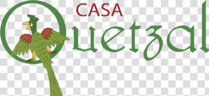 Quetzal Png  Transparent Png