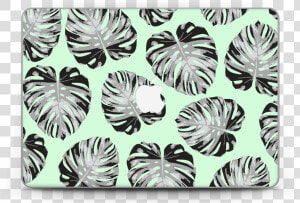 Mint Leaves Skin Macbook Pro Retina 13”   Verde Foglie Sfondi Per Telefono Foglie  HD Png Download