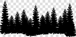 Eastern White Pine Tree Clip Art Cedar   Pine Tree Silhouette Png  Transparent Png