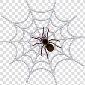 Transparent Png Spider Web Clipart   Png Download   Spider Web Images Black And White  Png Download