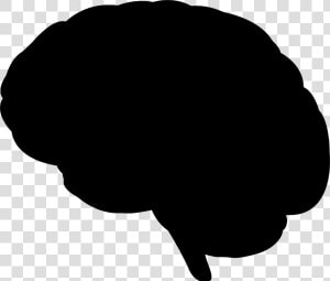 Silhouette Brain At Getdrawings   Brain Silhouette Clipart  HD Png Download