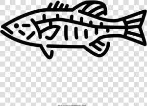 Transparent Largemouth Bass Clipart   Small Bass Fish Tattoo  HD Png Download