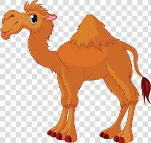 Camel Png Photo Transparent   Camel Clipart  Png Download