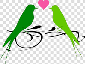 Love Birds Png Transparent Images   Love Birds In Png  Png Download