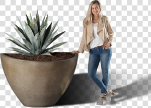 Agave Azul  HD Png Download