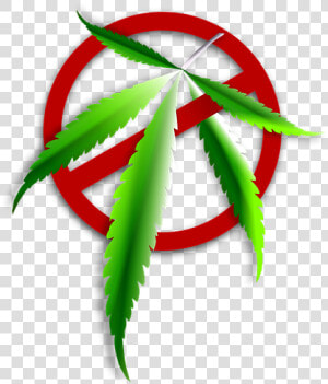 Icon  Characters  Marijuana  Weed  Leaf  Green  No   No Marijuana Png  Transparent Png