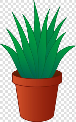 Aloe Vera Plant In Pot Clipart   Plant In Pot Png Clipart  Transparent Png