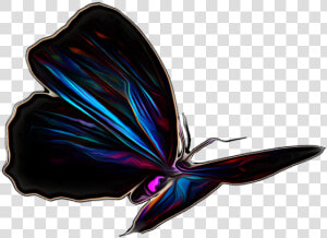 Pictures  Free Photos  Free Images  Royalty Free  Free   Butterfly  HD Png Download