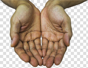 Receiving Hands Hands Receive Free Photo   Open Hands Of God  HD Png Download