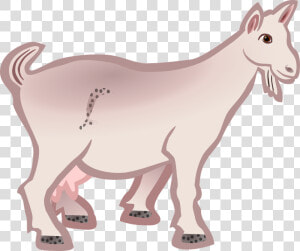 Goat Animal Farm Animal Free Photo  HD Png Download