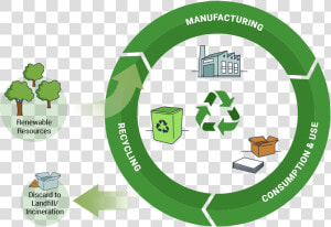 Carbon Infographic Illustration   Role Of Software Design Principles And Software Structures  HD Png Download