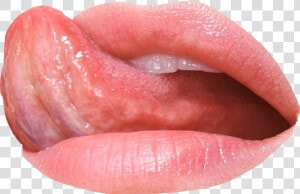  lips  lick  mouth  teeth  khrystyana  licker  tongue   Licking Lips Png  Transparent Png