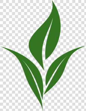 Thumb Image   Logo Tea Leaves Png  Transparent Png