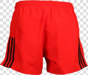 Crusaders 2017 Kids Supporter Shorts   Shorts  HD Png Download