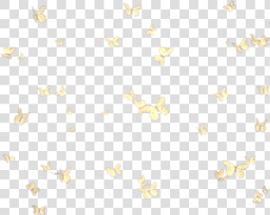 Butterflies Mariposas Mariposa Butterfly Group Grupo   Group Butterflies Png Transparent  Png Download