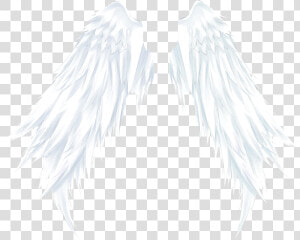  wings  angelwings  angel  ftestickers   Angel  HD Png Download